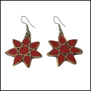 Elegant Design Earrings (Copy)
