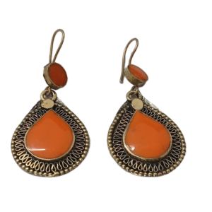 Elegant Design Earrings