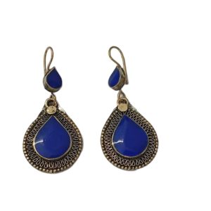 Elegant Design Earrings