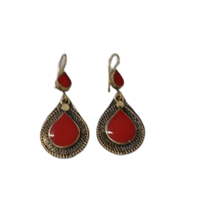 Elegant Design Earrings