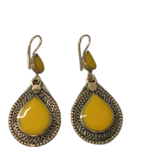 Elegant Design Earrings