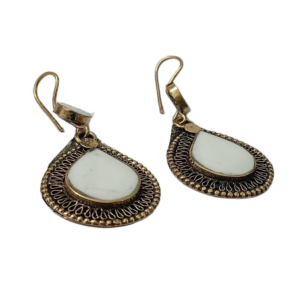 Elegant Design Earrings
