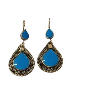 Elegant Design Earrings