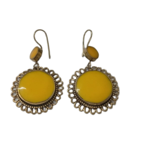 Elegant Design Earrings