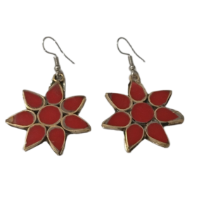 Elegant Design Earrings (Copy)