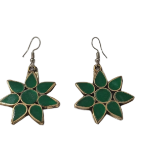 Elegant Design Earrings