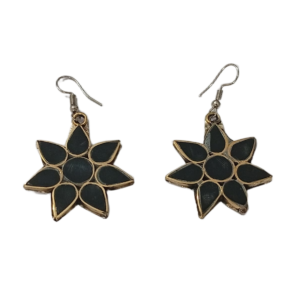 Elegant Design Earrings