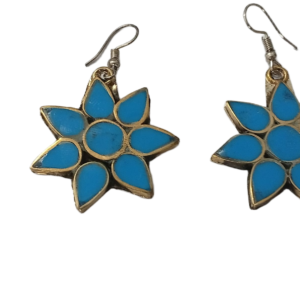 Elegant Design Earrings