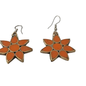 Elegant Design Earrings
