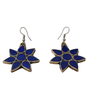 Elegant Design Earrings