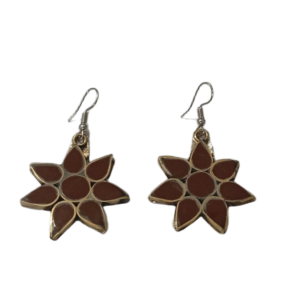 Elegant Design Earrings
