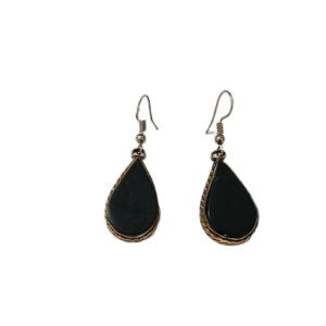 Elegant Design Earrings