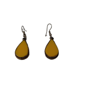 Elegant Design Earrings