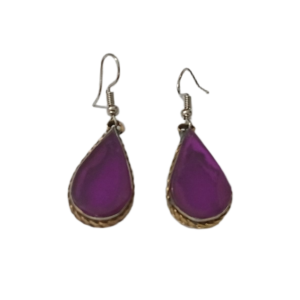 Elegant Design Earrings