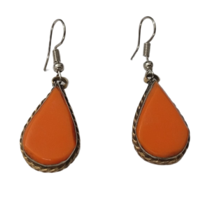 Elegant Design Earrings