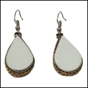 Elegant Design Earrings