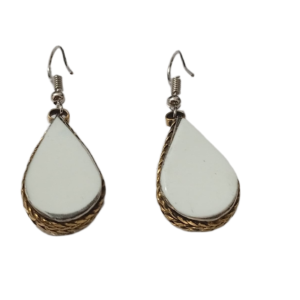 Elegant Design Earrings